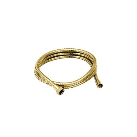 Moen Polished Brass Handheld Shower Hose A726P